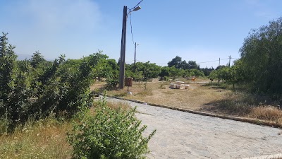 Photos of Doudou Mokhtar Garden