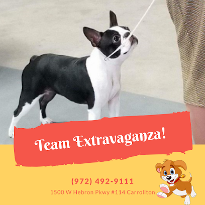 Pet Extravaganza, LLC