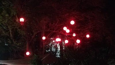 Photos of Sociology Yard