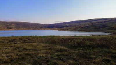 Photos of Lake Vifilsstadavatn