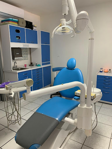Dental Rex - Visual