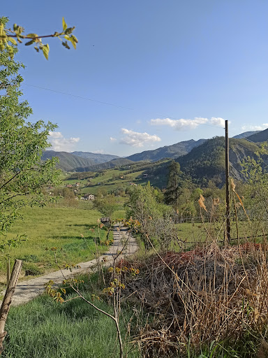 Azienda Agricola Pontesopra - Thumbnail