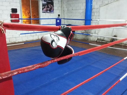 Beccar Boxingclub, Author: Hernan Juarez