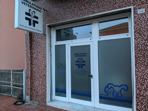 Veterinario Angelelli Dott.ssa Loredana - Thumbnail