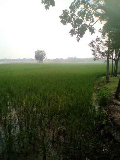 Photos of বায়তুন নূর জামে মসজিদ