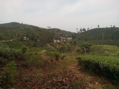 Photos of Madolsima Winestores