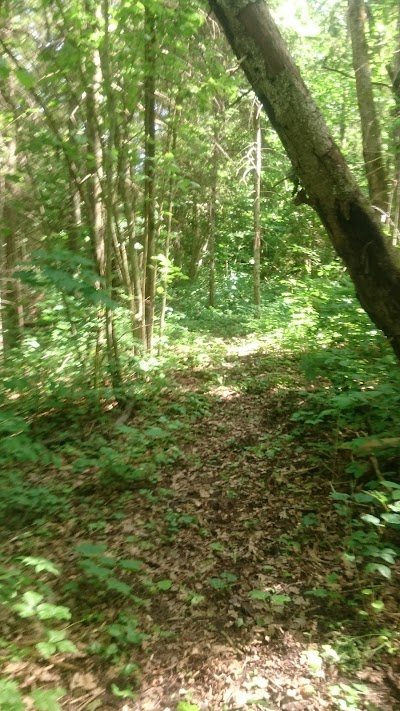 park