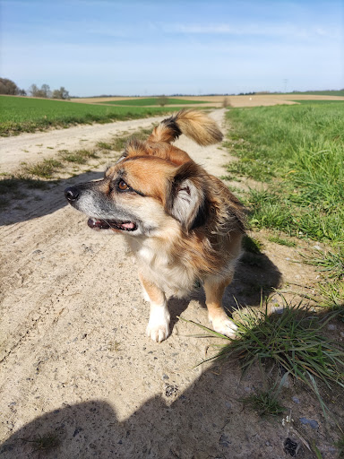 Wald-Wandergebiet Siegelbach - Thumbnail