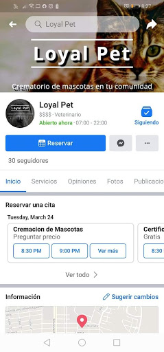 Loyal Pet - Visual