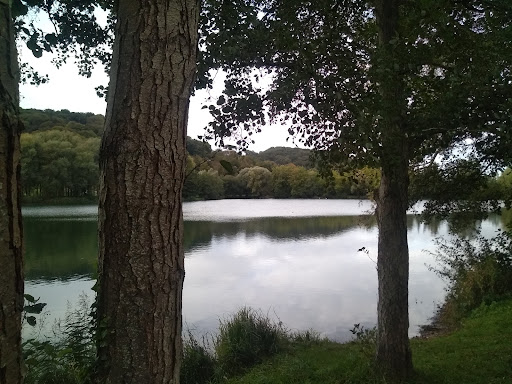 Wandelpad - Visual