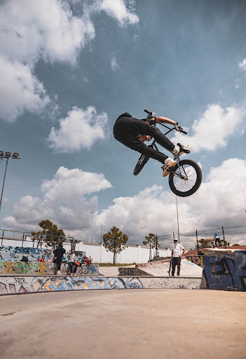 Erigen BMX