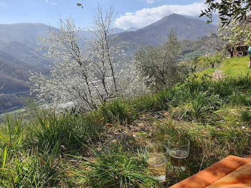 Tenuta Organica - Thumbnail