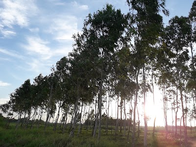 Photos of Sardar's Park