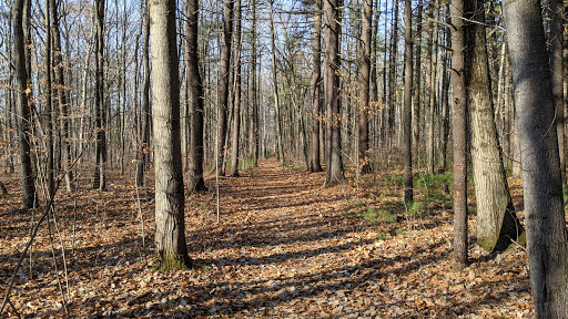 Greves Regional Park - Thumbnail