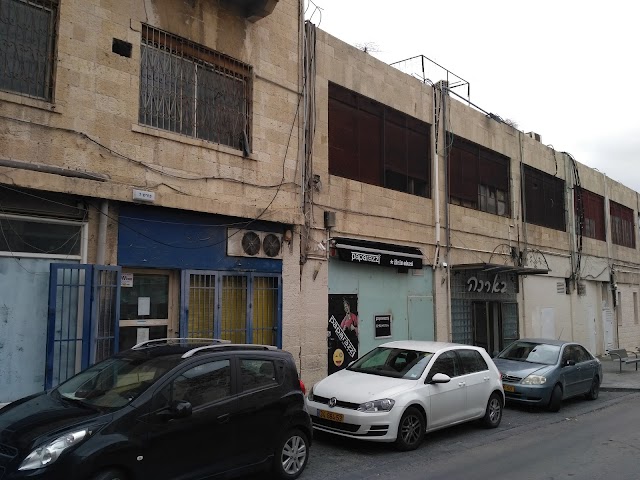 קקטוס9