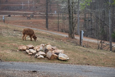 Photos of Zootastic Park