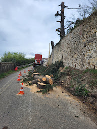 Photo n°16 de Debard Paysage à Montagny (Constructeur d'abris de jardin)