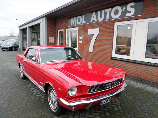 Mol Auto's - Visual