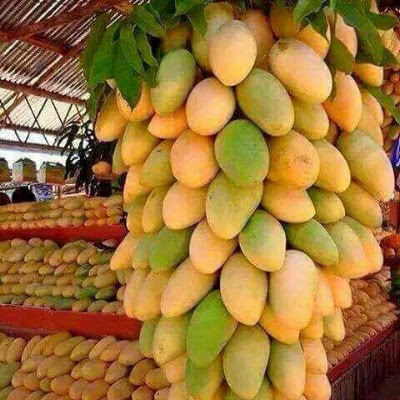Photos of Tasty Caribbean Delights