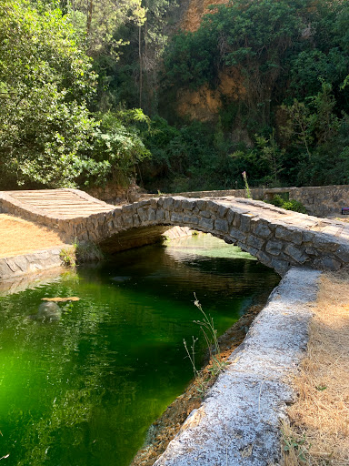Área Recreativa Zagra Baja - Thumbnail