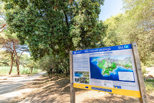 Photo n°15 de Camping Olbia - Camping Hyères à Hyères (Appartement de vacances)