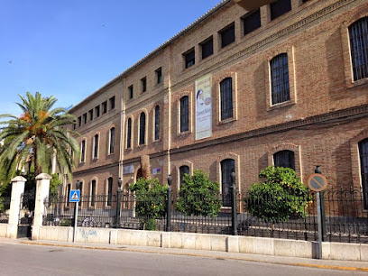 colegio-carmen-salles
