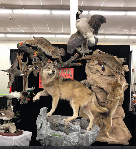 Vanmar Taxidermy & Outdoors - Thumbnail