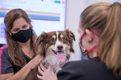 Animal Cancer Care and Research Center