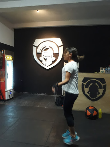 Ludus Crossfit - Thumbnail