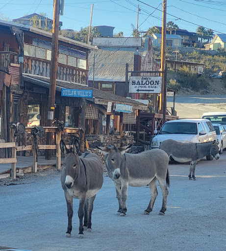 Oatman Az - Thumbnail