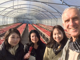 Photo n°33 de La Maison du Piment d'Espelette à Ustaritz (Épicerie fine)