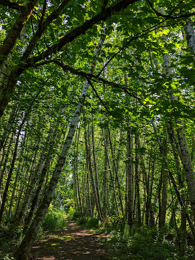 Taylor Wetlands Park - Thumbnail