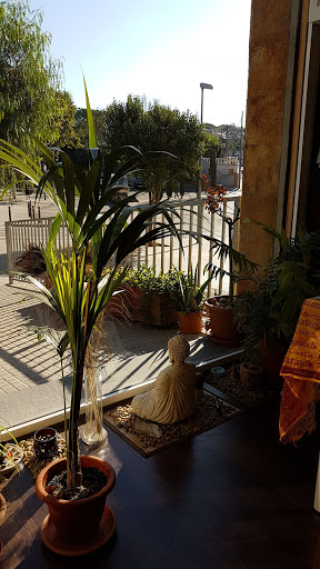 Centro Yoga Sudhamani - Thumbnail