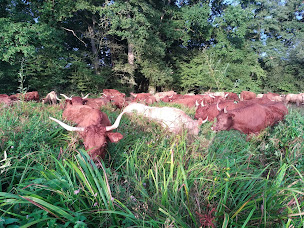 Photo n°4 de La Ferme de La Vallée à Trans-la-Forêt (Ferme bio)