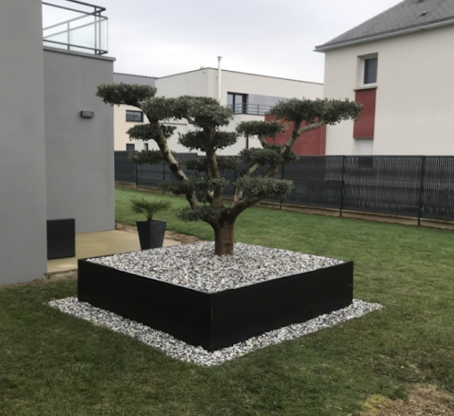 Photo de Concept garden