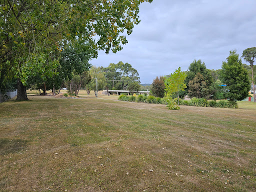 Forth Recreation Ground - Visual