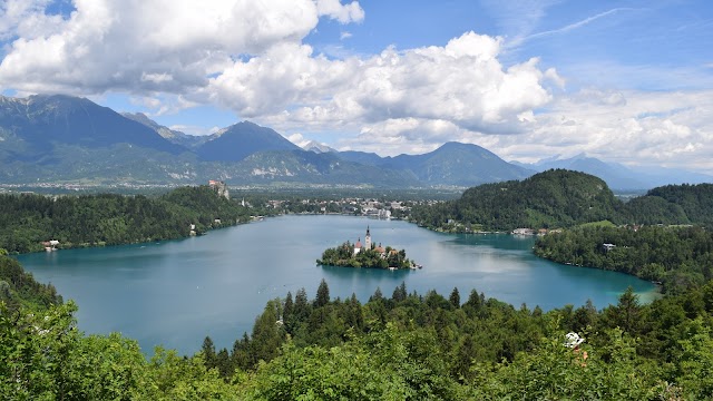 Bled