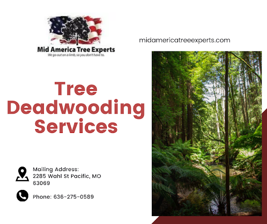 Tree Removal St Louis