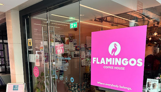 Flamingos