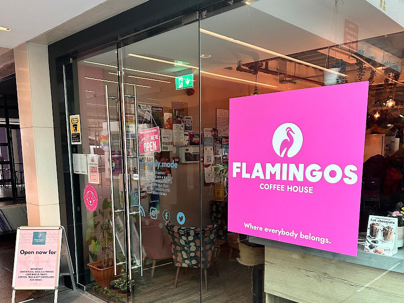 Flamingos — photo