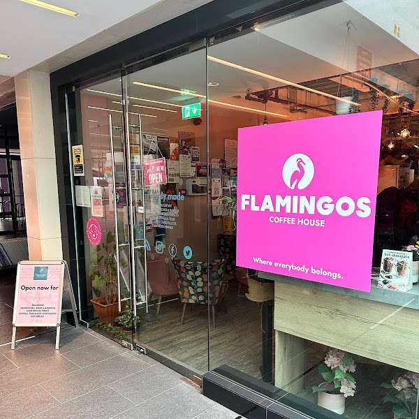 Flamingos — photo