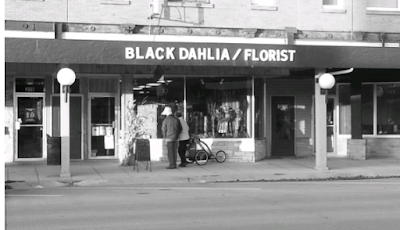 Black Dahlia Flowers & Gifts