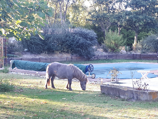 Photo de LE GÎTE DU GAILLE à Captieux (33840)