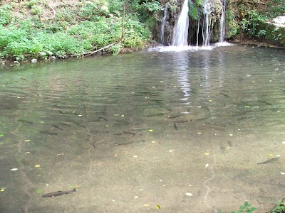 Photos of Szalajka-Halast&oacute;