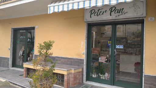 Peter Pan di Maria Luisa