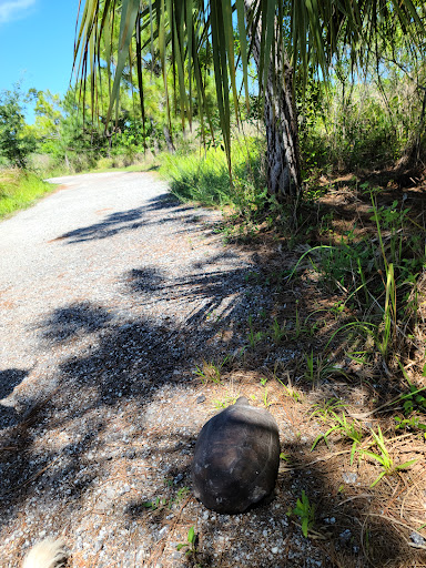George LeStrange Preserve - Visual