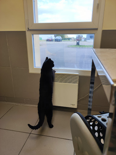 Veterinary Clinic of Bréandes - Thumbnail