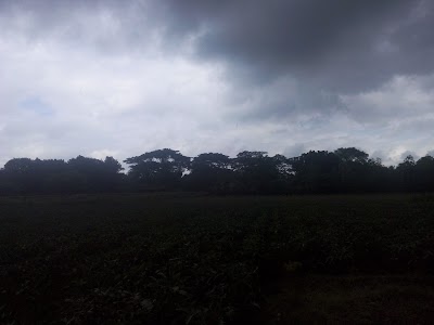 Photos of Ichamati Filling Station