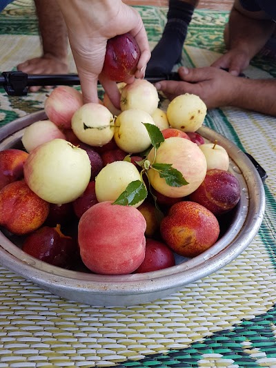 Photos of اسکول دره
