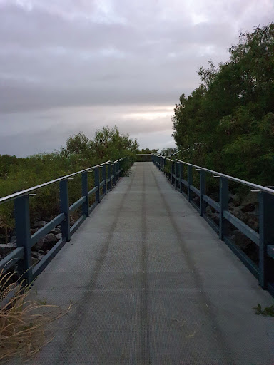 Pioneer Promenade - Thumbnail